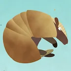 The first app icon: a curled-up armadillo on a light blue background