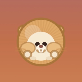A hamster on an orange background