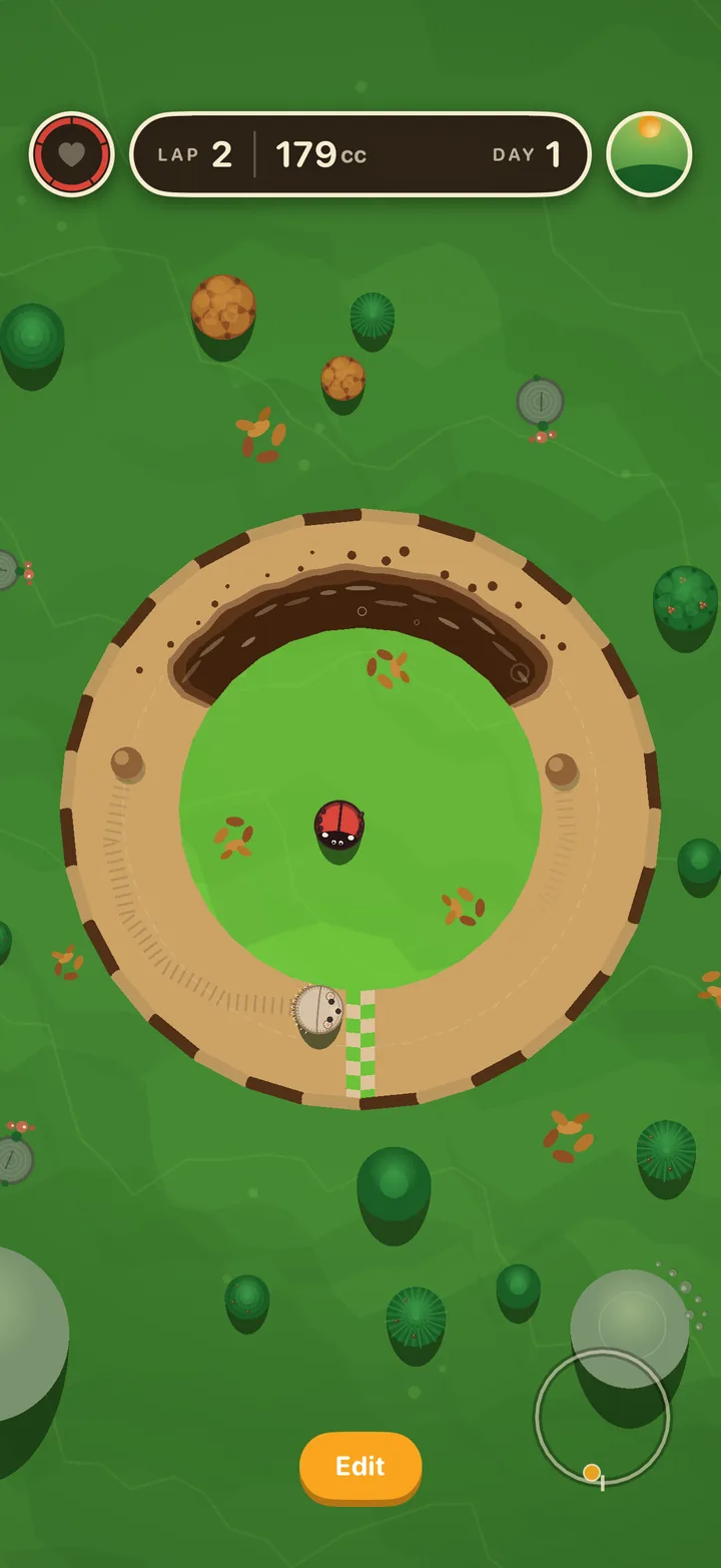 The finished Loop track in Animal Loop by day, with the Ladybug and a hedgehog racing past the start line