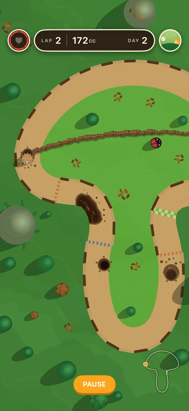The Mushroom track in Fern Hollow
